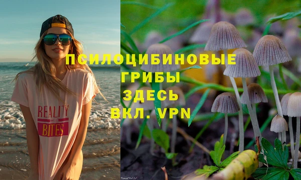 прущие крисы Алексин