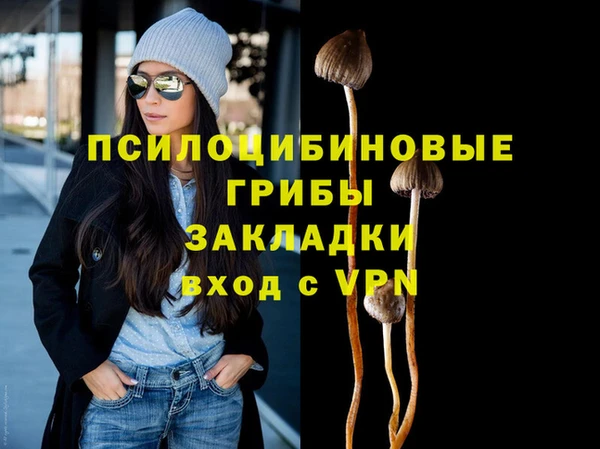 амф Алексеевка