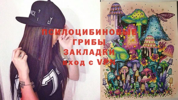 прущие крисы Алексин